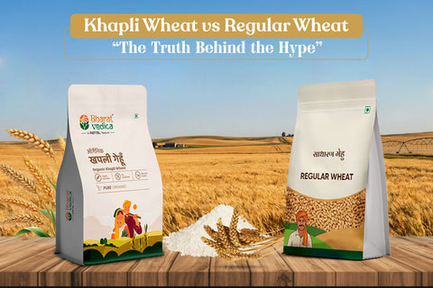 khapli wheat vs regular wheat