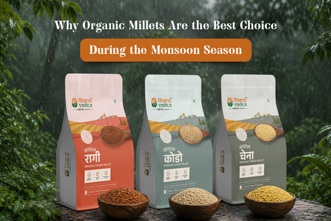 Why Organic Millets Are a Smart Choice During the Monsoon Season  