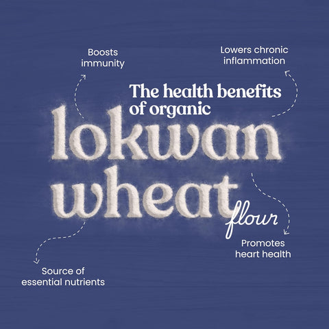 Organic Lokwan Wheat Flour