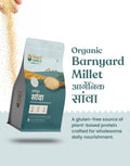 Organic Barnyard Millet - Organic Sava