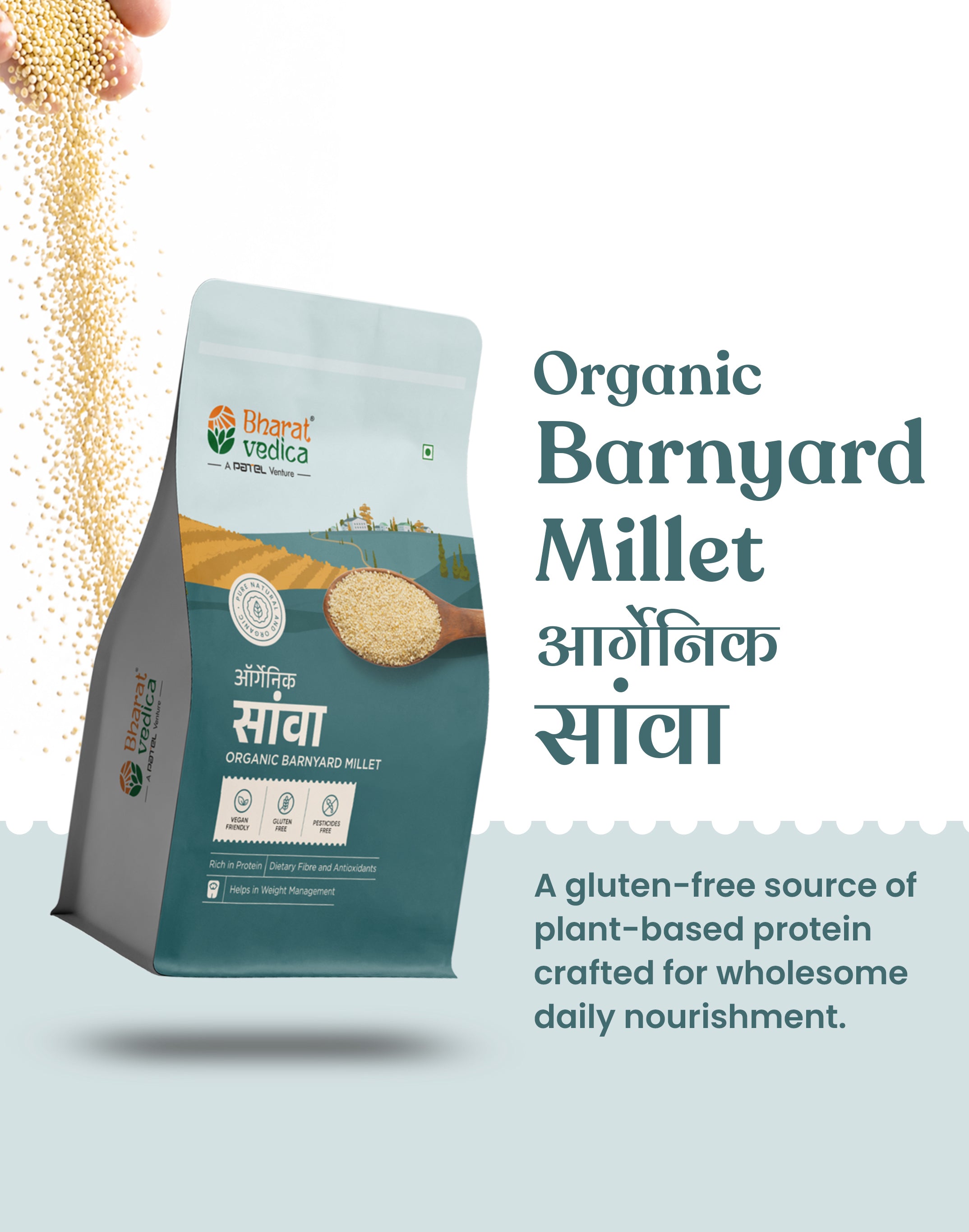 Organic Barnyard Millet - Organic Sava
