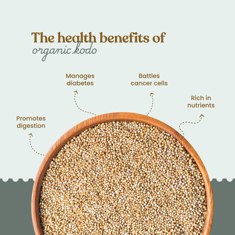 Organic Kodo Millet - Organic Kodo millet