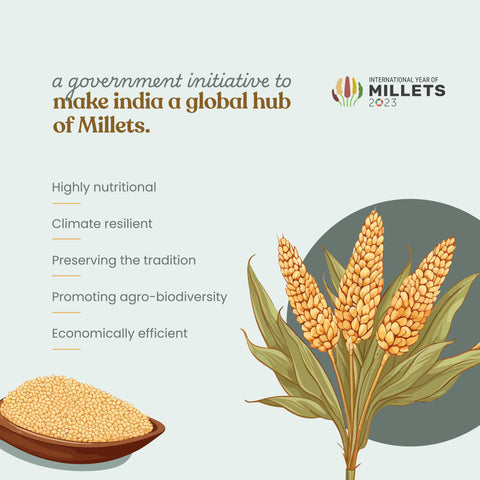 Organic Kodo Millet - Organic Kodo millet