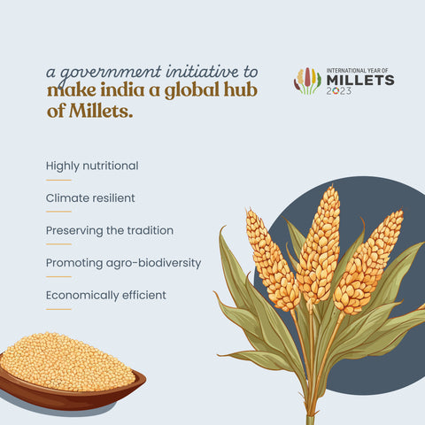 Organic Little Millet - Organic Kutki
