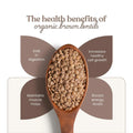 organic brown lentils spoon