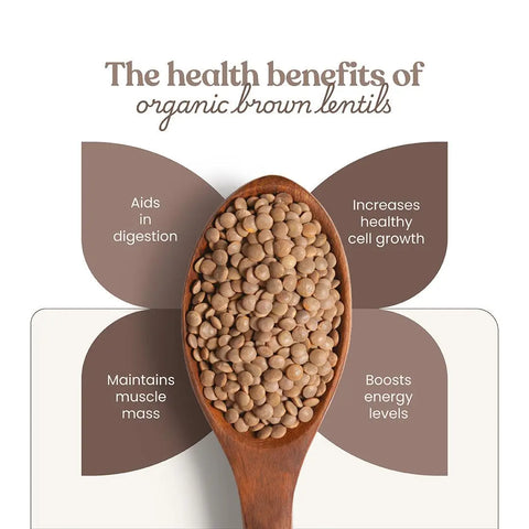 organic brown lentils spoon
