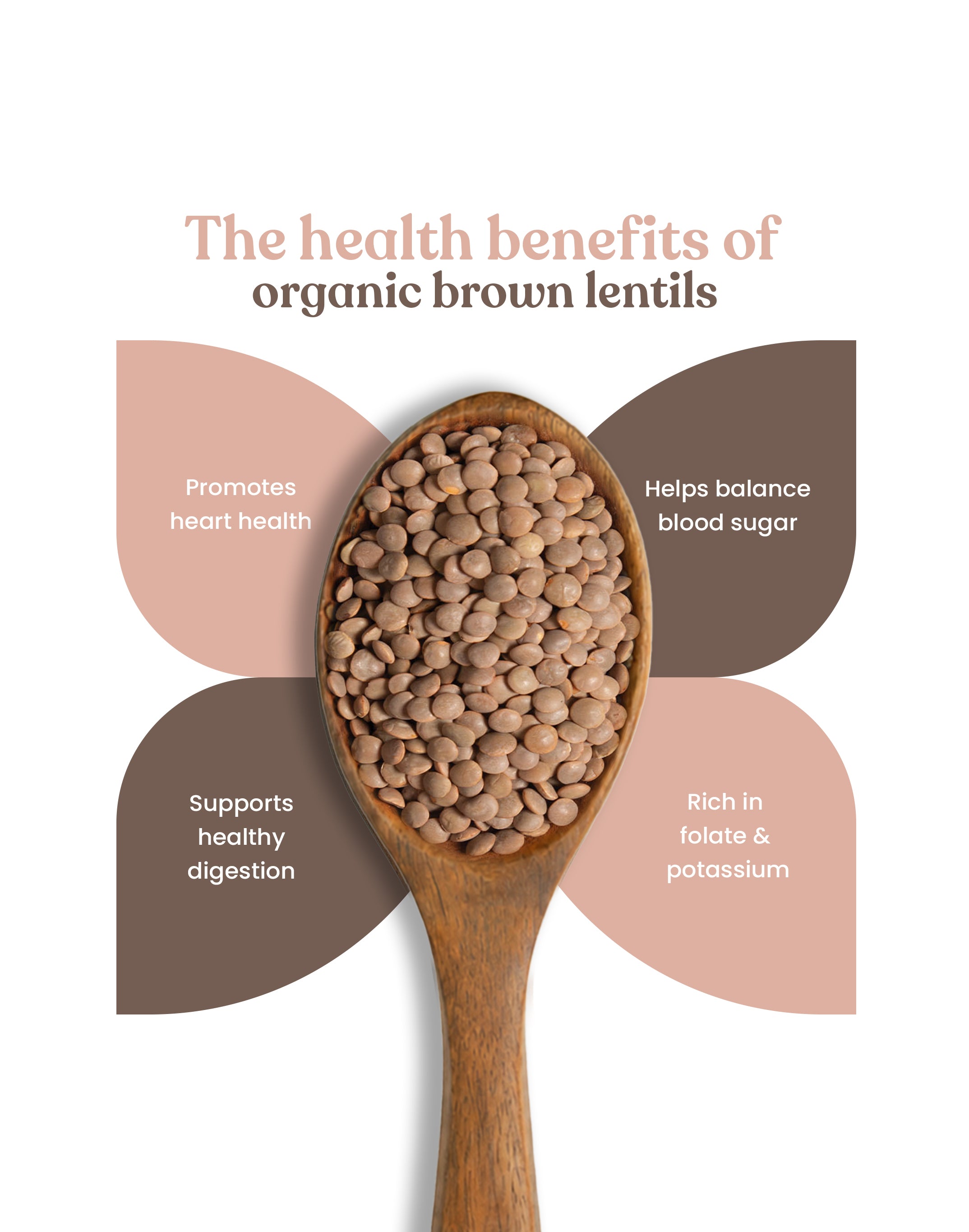 Organic Brown Lentils - Organic Masoor Dal Sabut