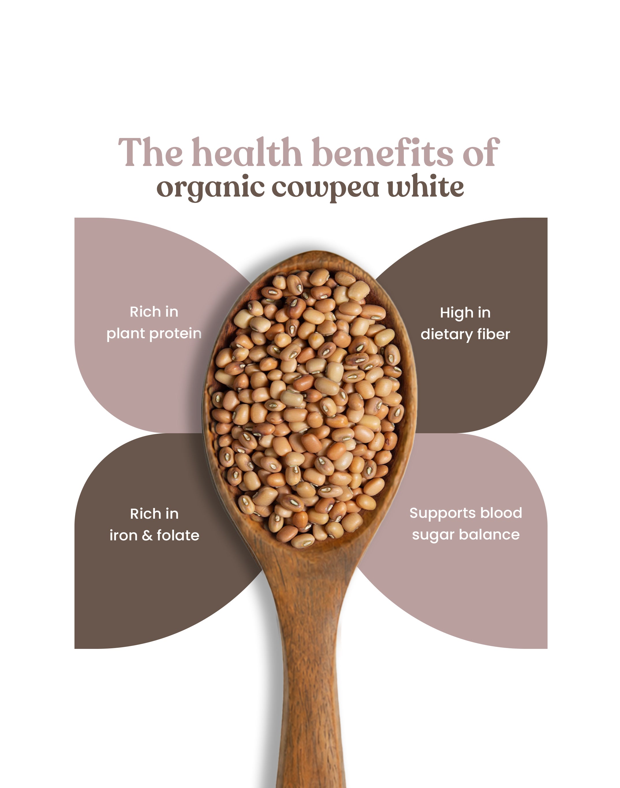 Organic Cowpea White - Organic Lobia Safed