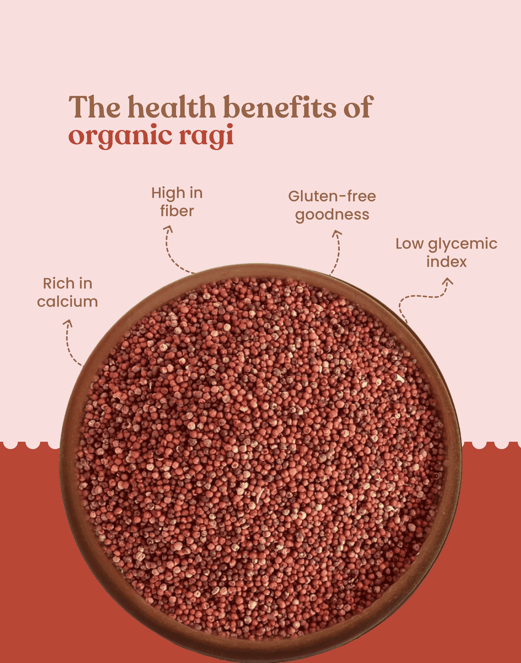 Organic Finger Millet - Organic Ragi