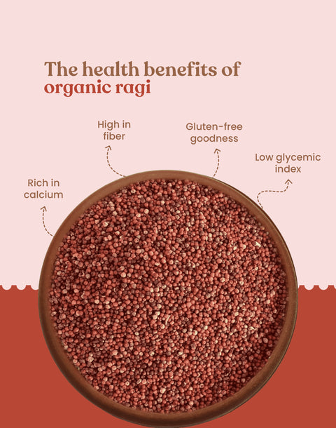 Organic Finger Millet - Organic Ragi