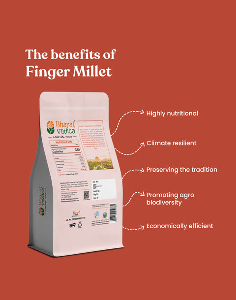 Organic Finger Millet - Organic Ragi