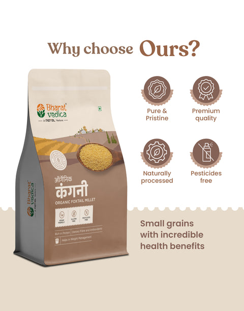 Organic Foxtail Millet - Organic Kangni