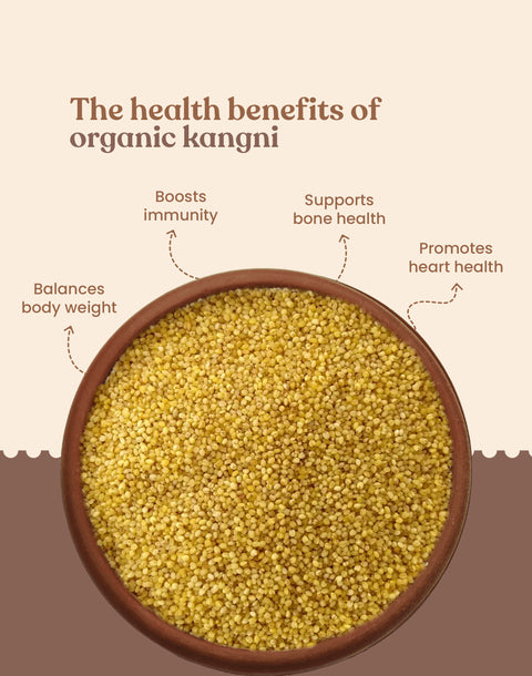 Organic Foxtail Millet - Organic Kangni