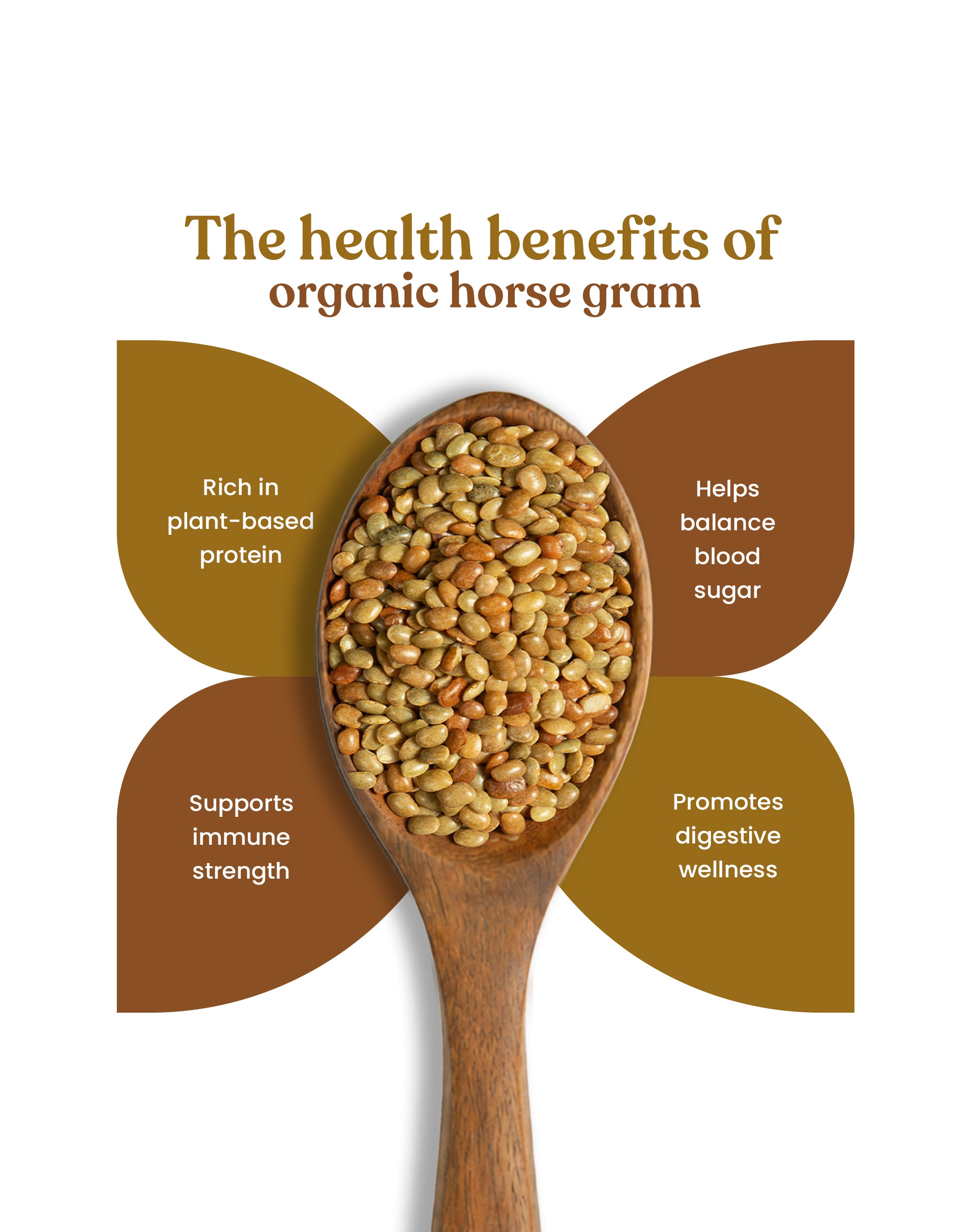 Organic Horse Gram - Organic Kulthi