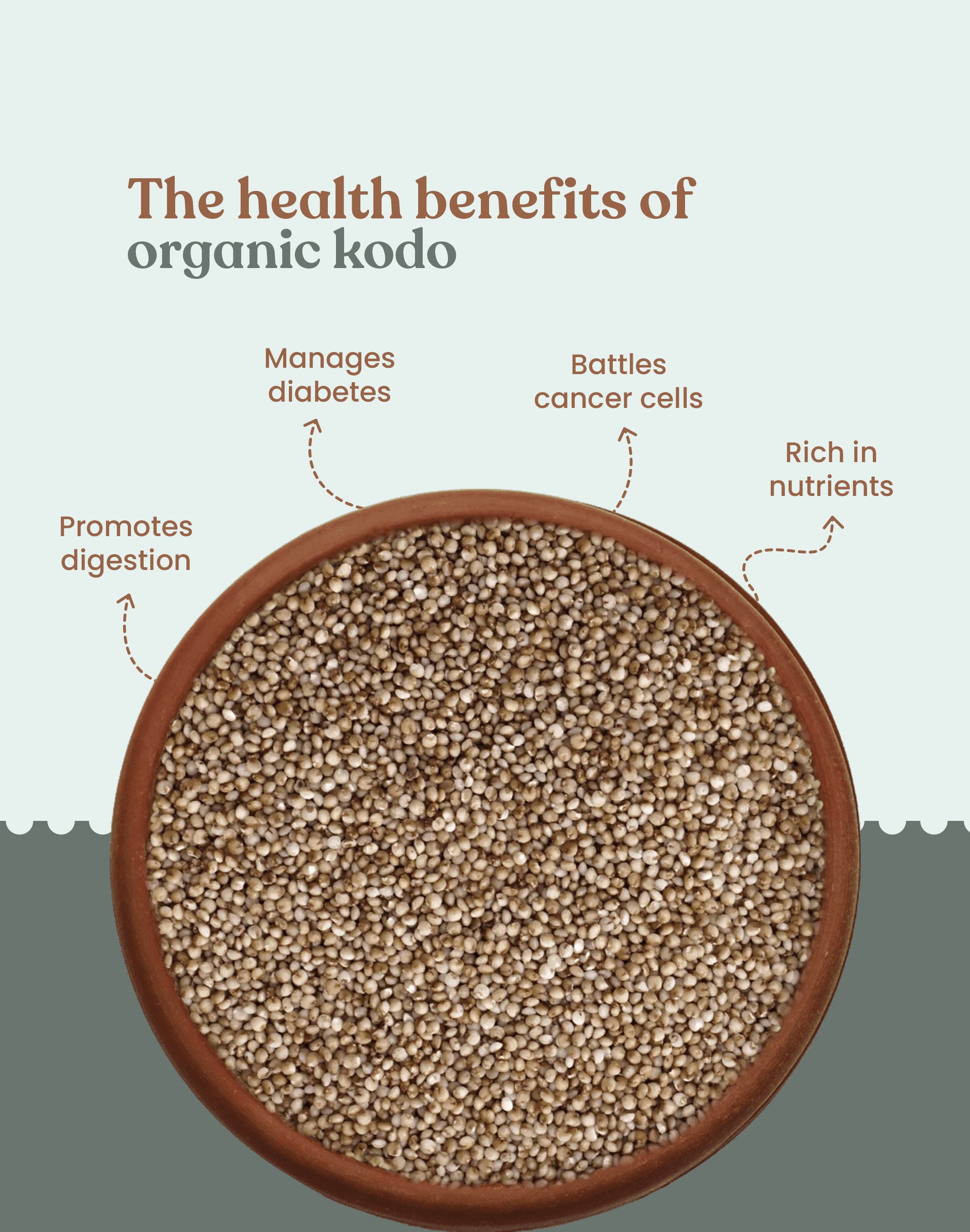Organic Kodo Millet - Organic Kodo millet