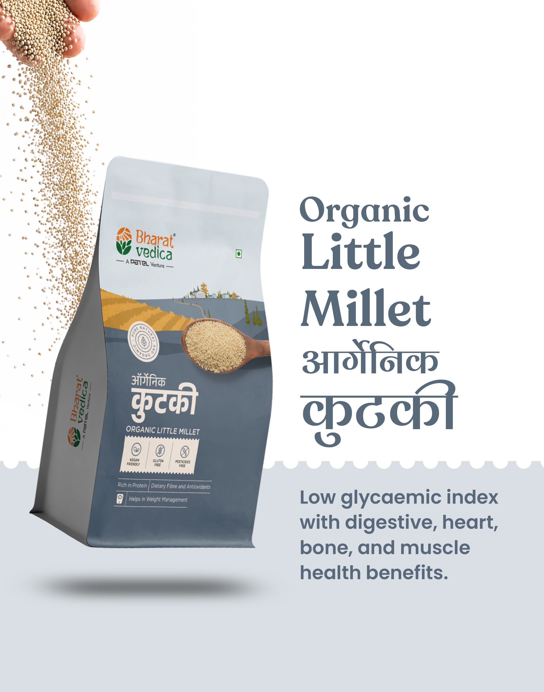 Organic Little Millet - Organic Kutki