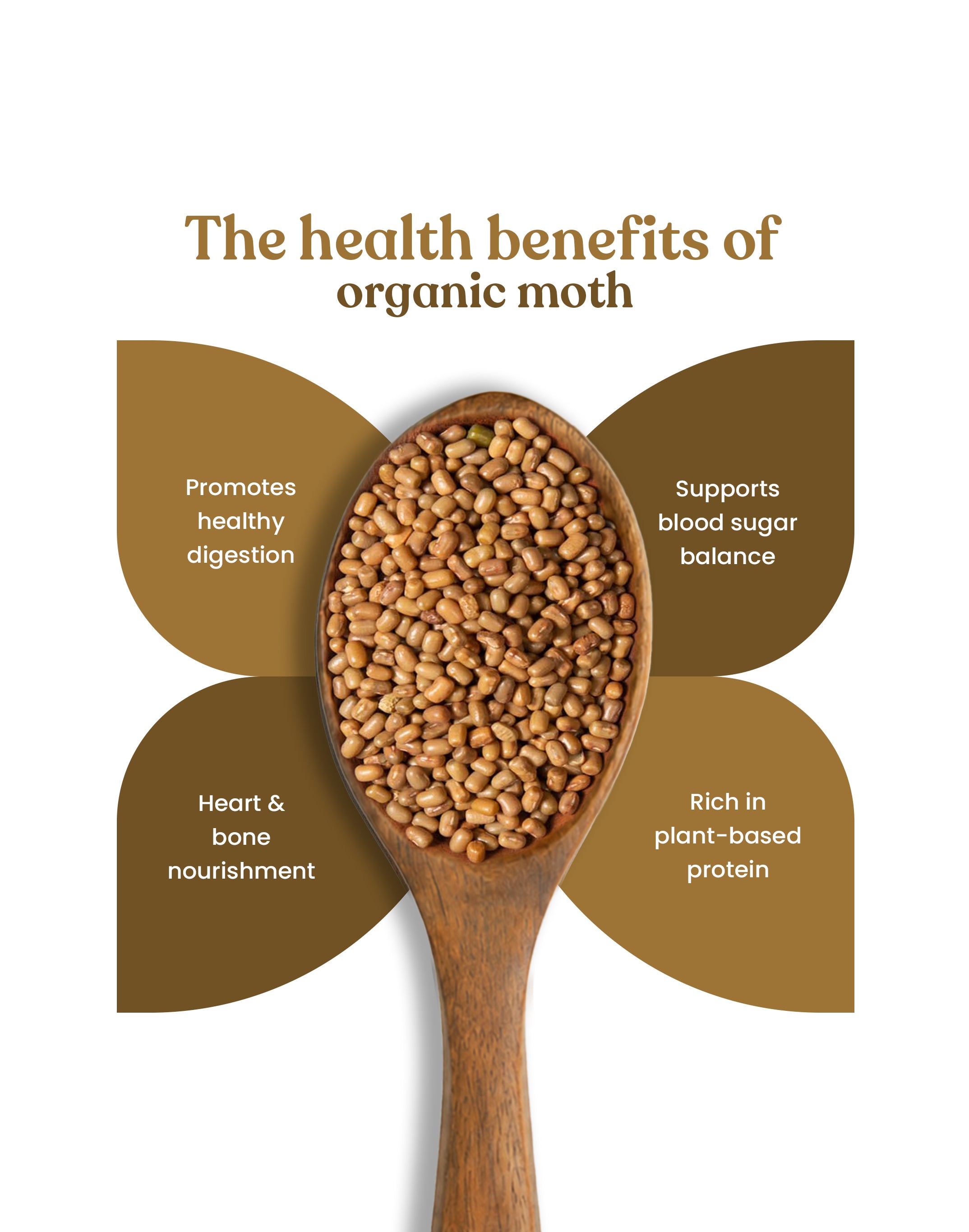 Organic Moth