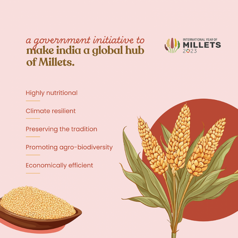 Organic Finger Millet