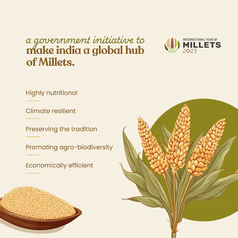 Organic Pearl Millet