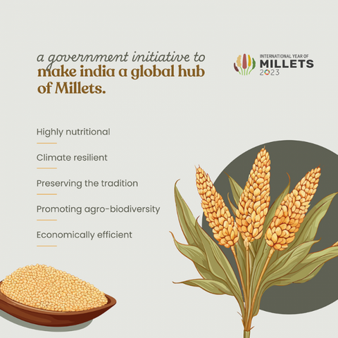 Organic Proso Millet