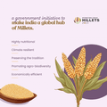 organic sorghum Millet benefits