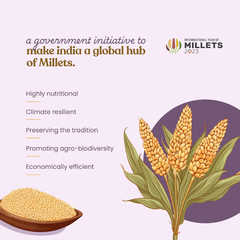 Organic Sorghum Millet