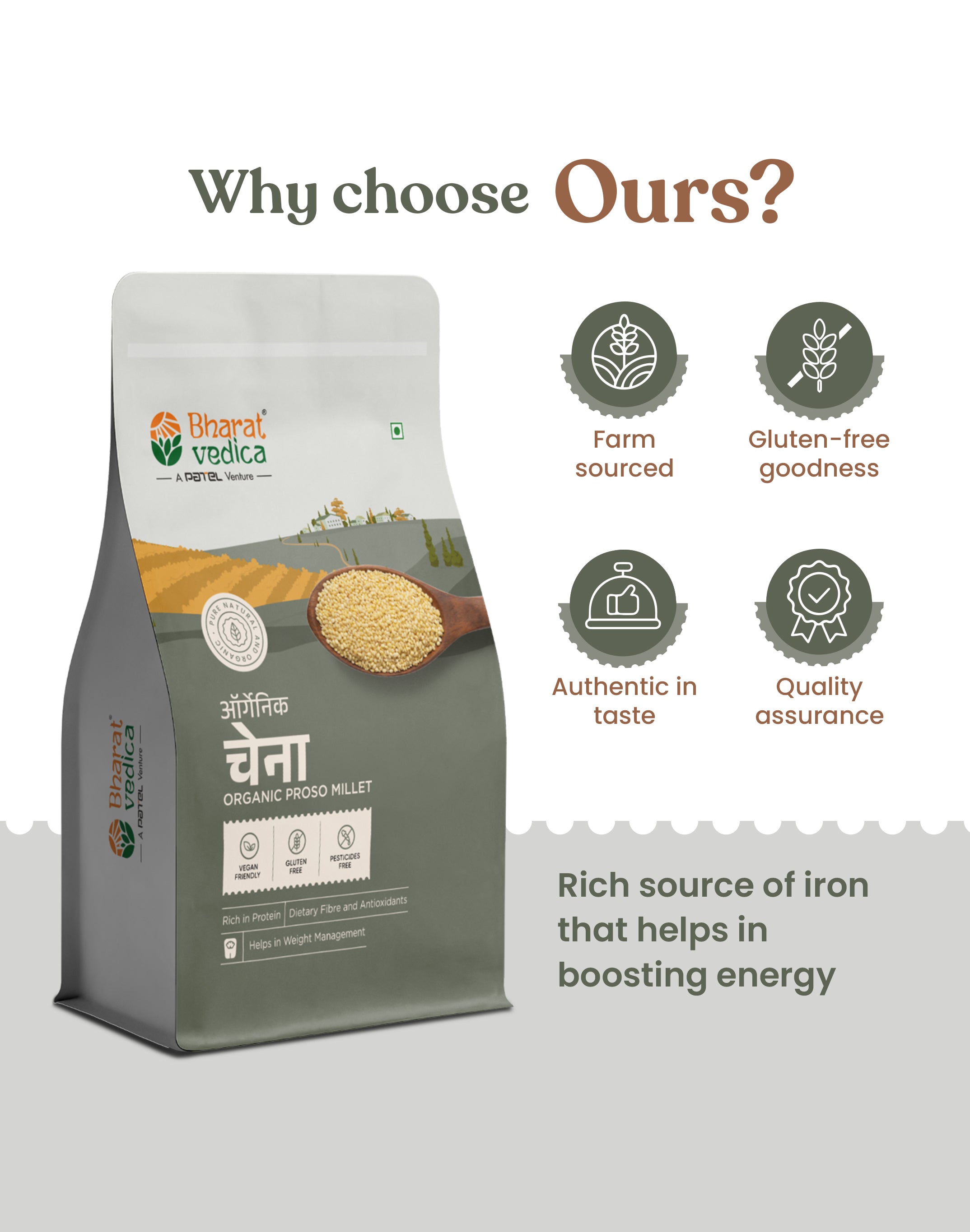 Organic Proso Millet - Organic Chena