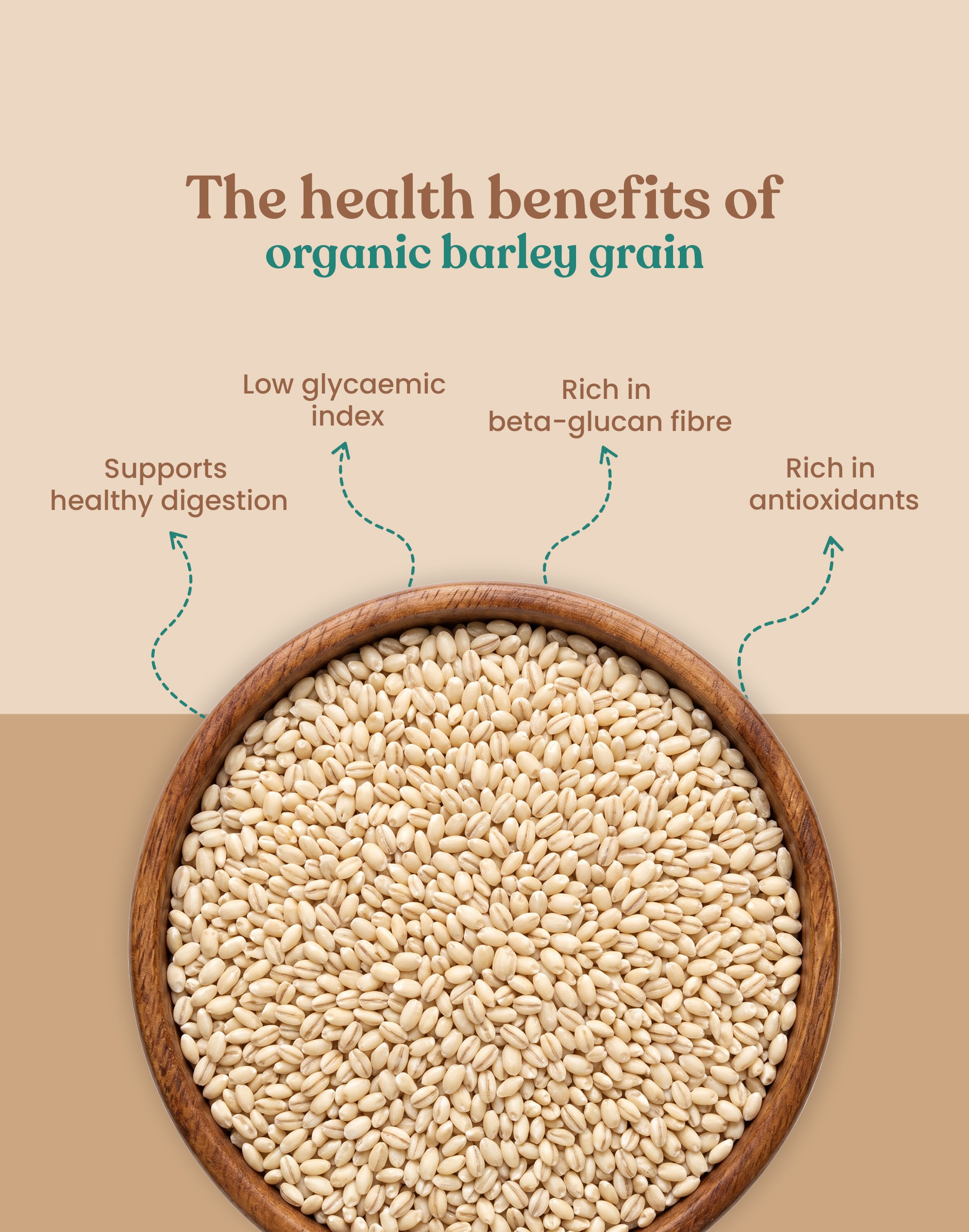 Organic Barley Grain - Organic Jau Sabut