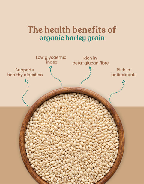 Organic Barley Grain - Organic Jau Sabut