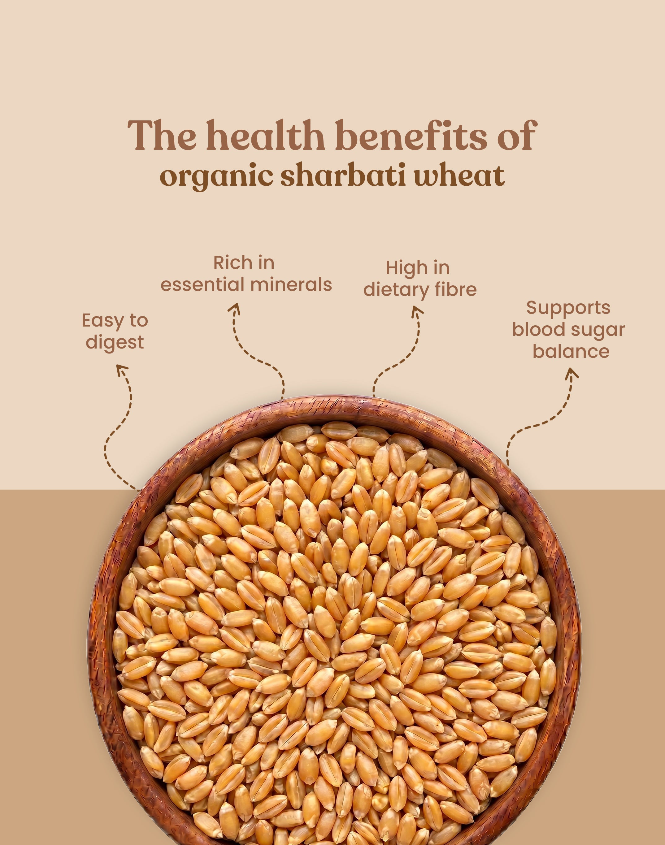 Organic Sharbati Wheat - Organic Sharbati Gehu