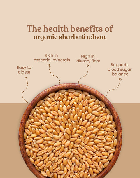 Organic Sharbati Wheat - Organic Sharbati Gehu