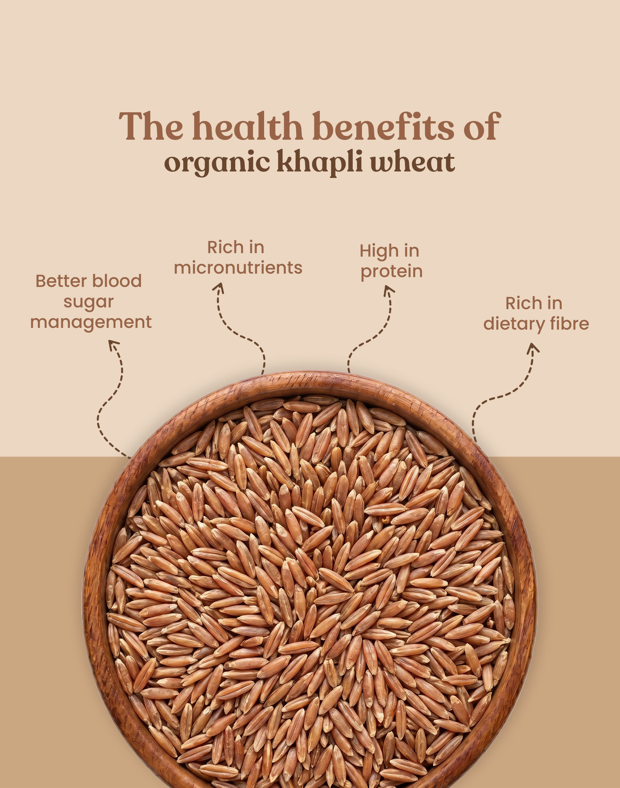 Organic Khapli Wheat - Organic Khapli Gehu