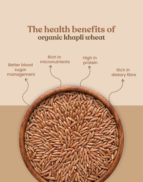 Organic Khapli Wheat - Organic Khapli Gehu