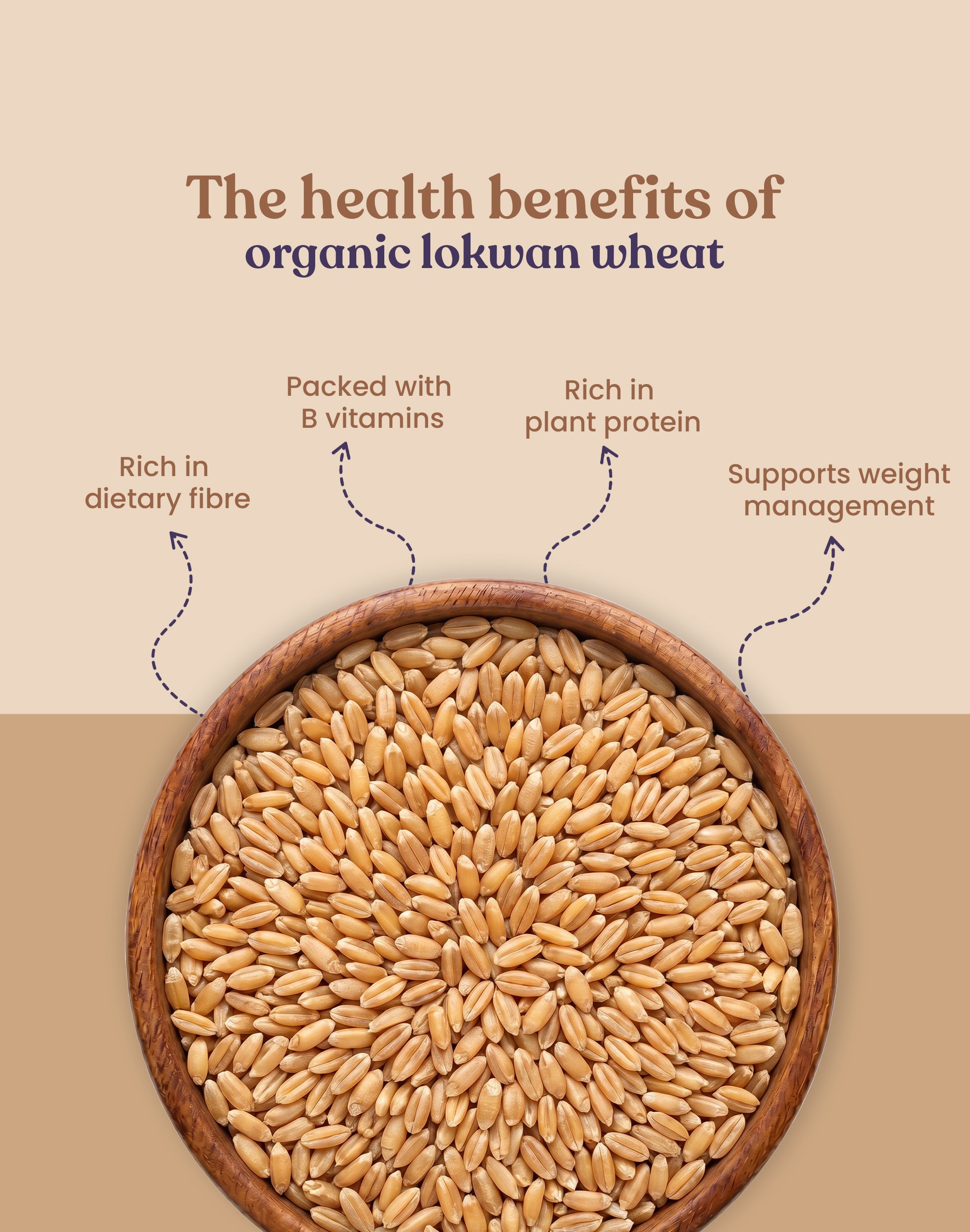 Organic Lokwan Wheat - Organic Lokwan Gehu