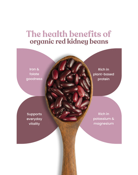 Organic Red Kidney Beans - Organic Rajma Red