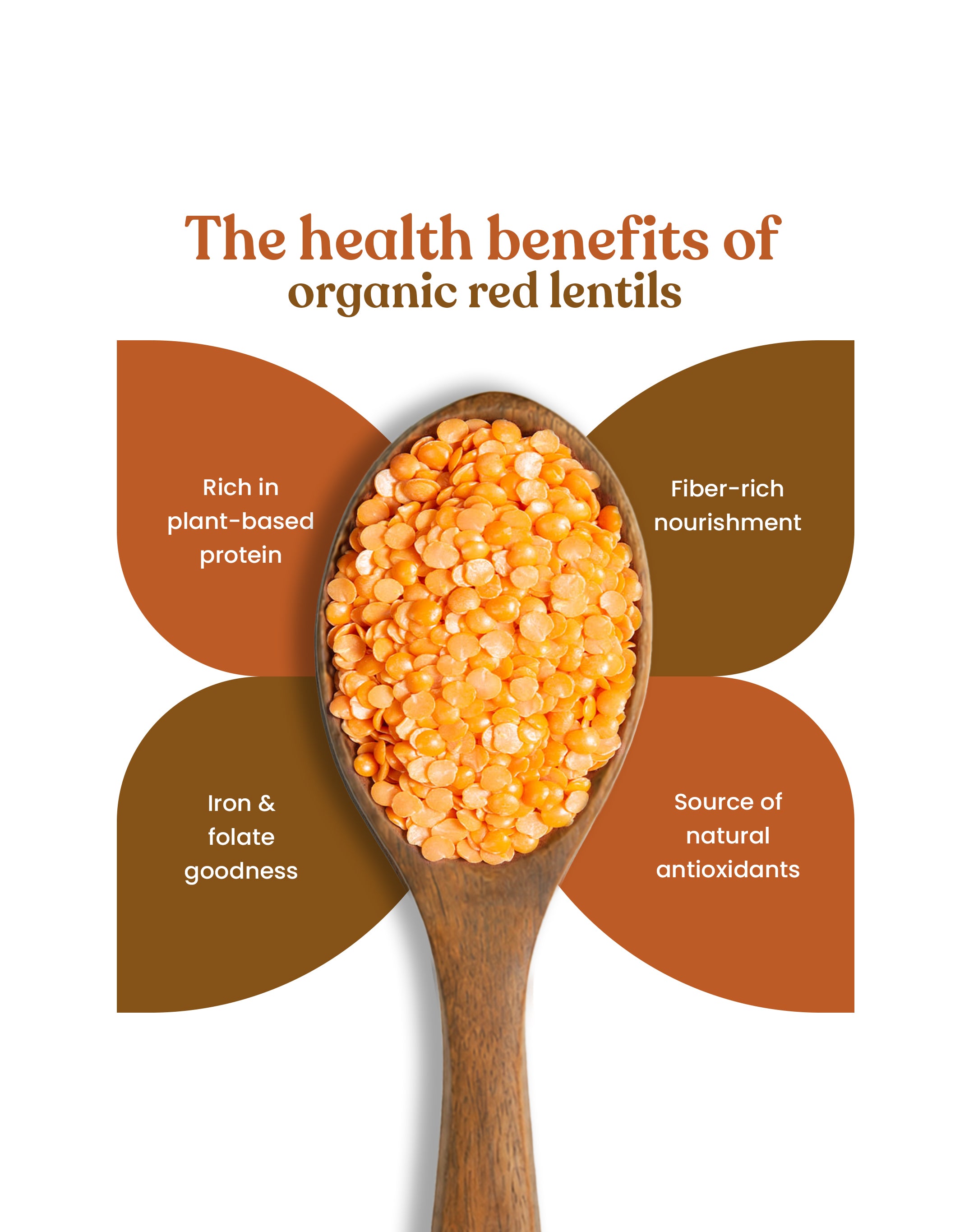 Organic Red Lentils - Organic Masoor Dal