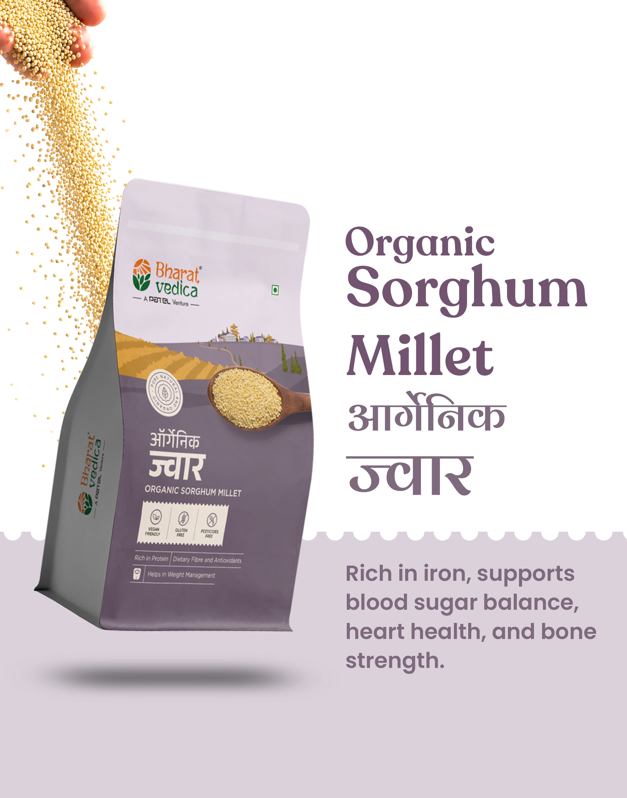 Organic Sorghum Millet - Organic Jowar