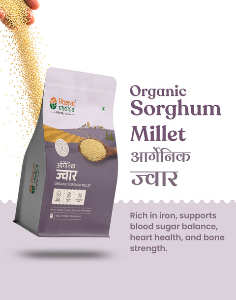 Organic Sorghum Millet - Organic Jowar