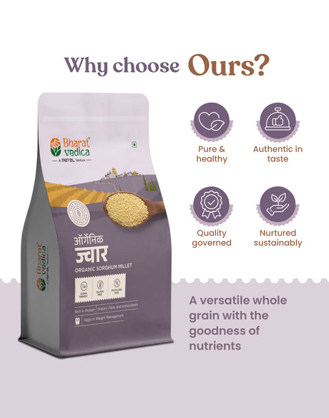 Organic Sorghum Millet - Organic Jowar