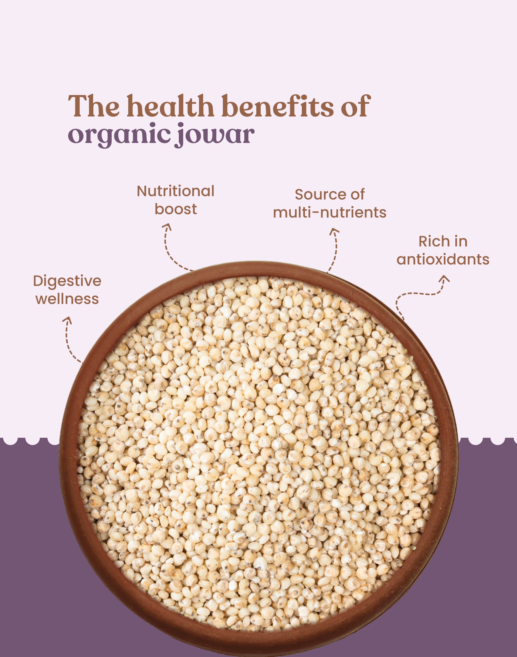 Organic Sorghum Millet - Organic Jowar