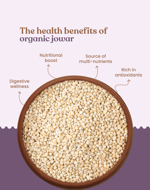 Organic Sorghum Millet - Organic Jowar