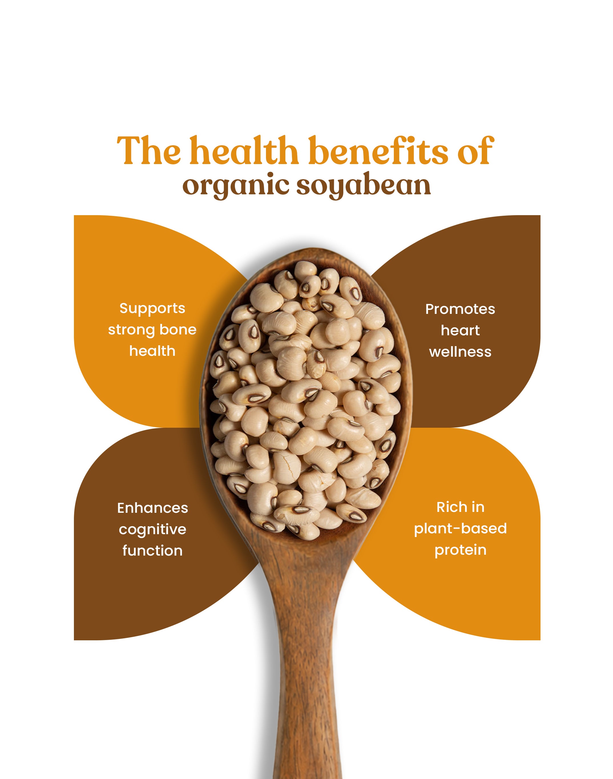 Organic Soyabean